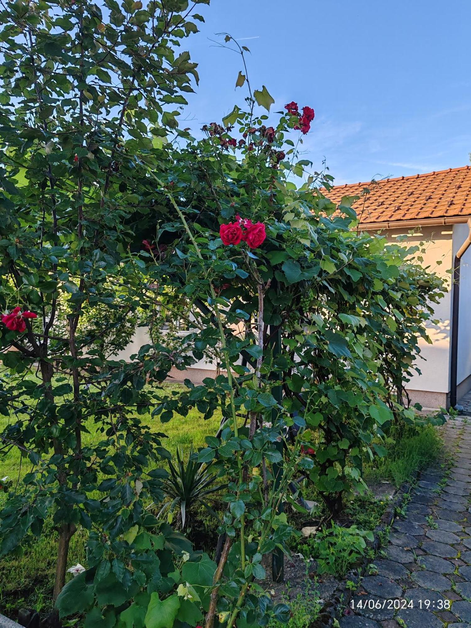 Teslić Guesthouse Jelic מראה חיצוני תמונה